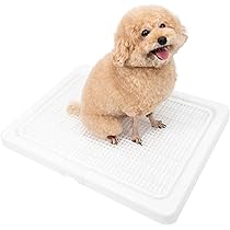 Amazon | INULABO(イヌラボ) 犬 トイレ トレー 高床式 小型犬 中型犬 M